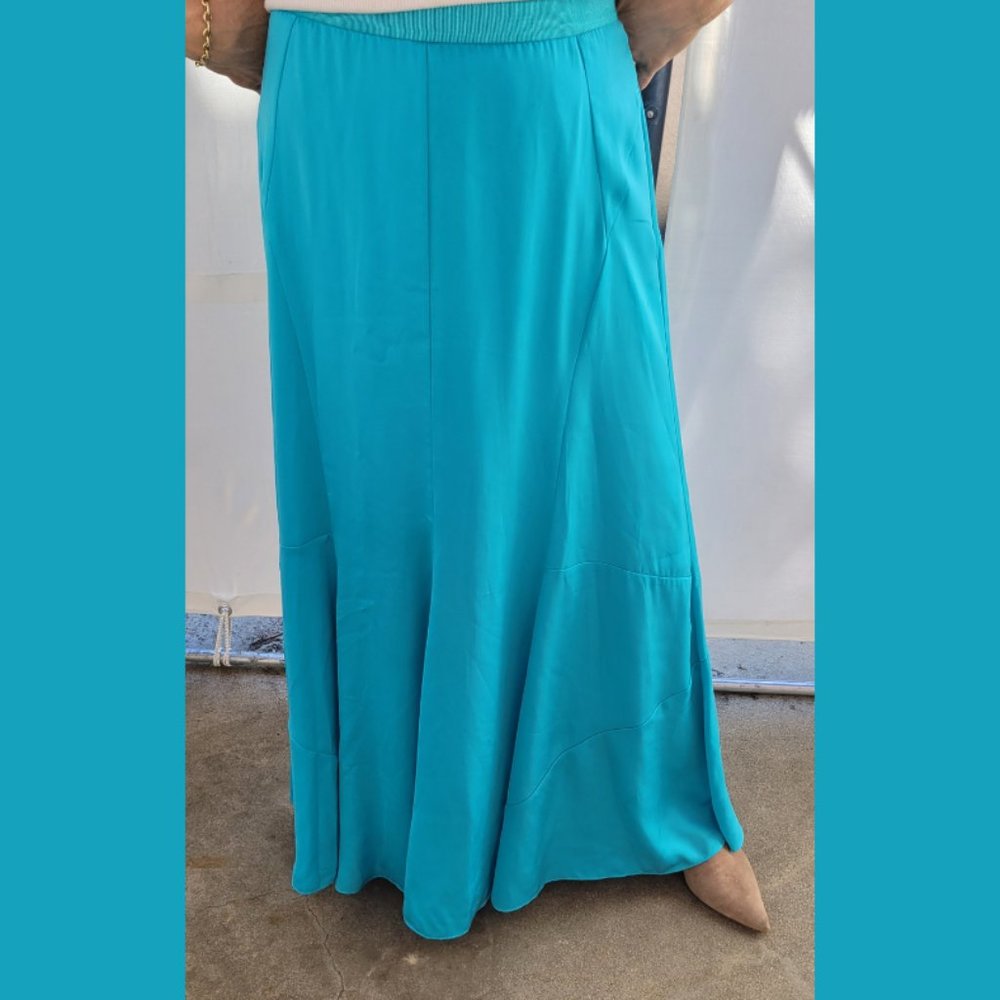 Ann Taylor Maxi Skirt